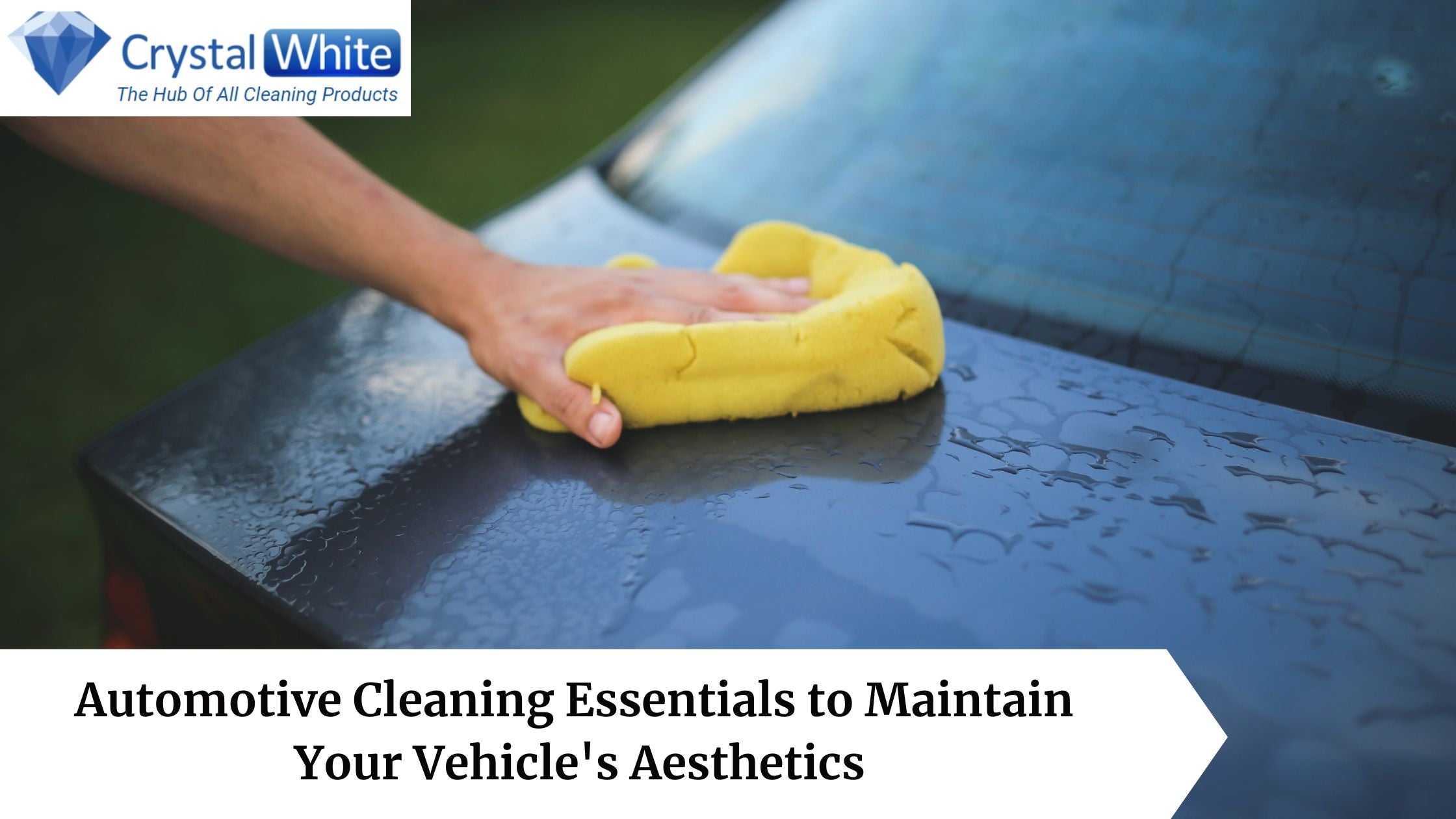 Automotive Cleaning Essentials to Maintain Your Vehicle's Aesthetics
